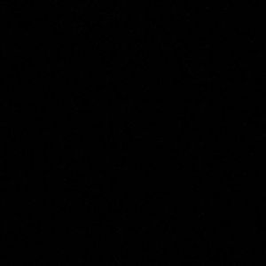 Meet your Posher, Sammy